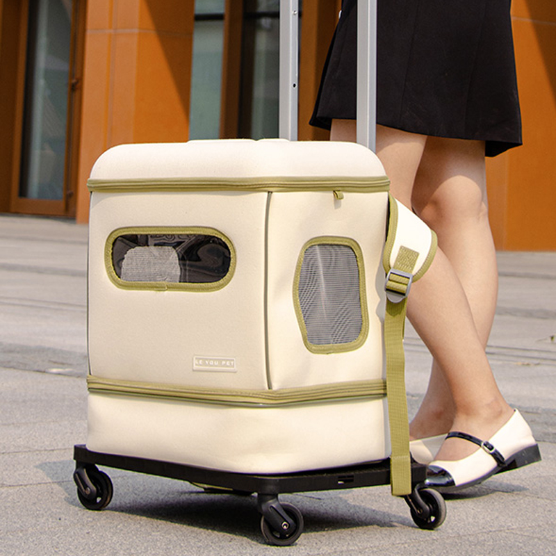 cat carrier