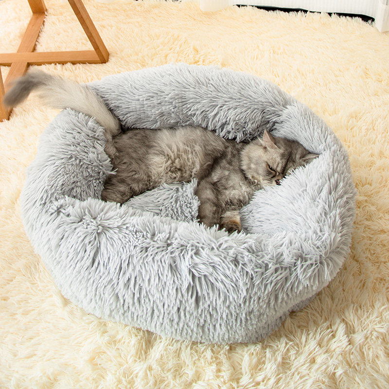 Cat litter