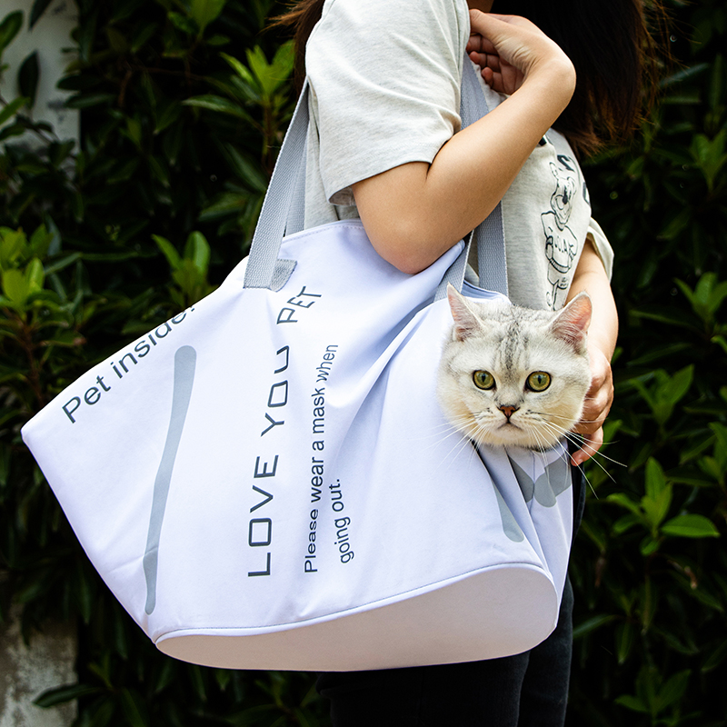 cat carrier
