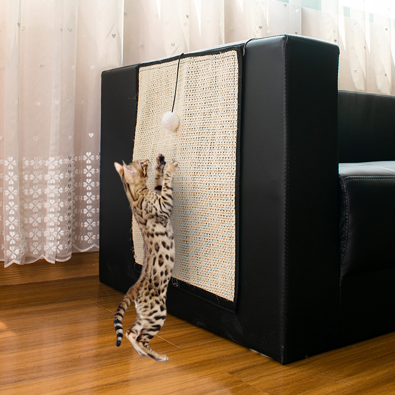 cat scratcher