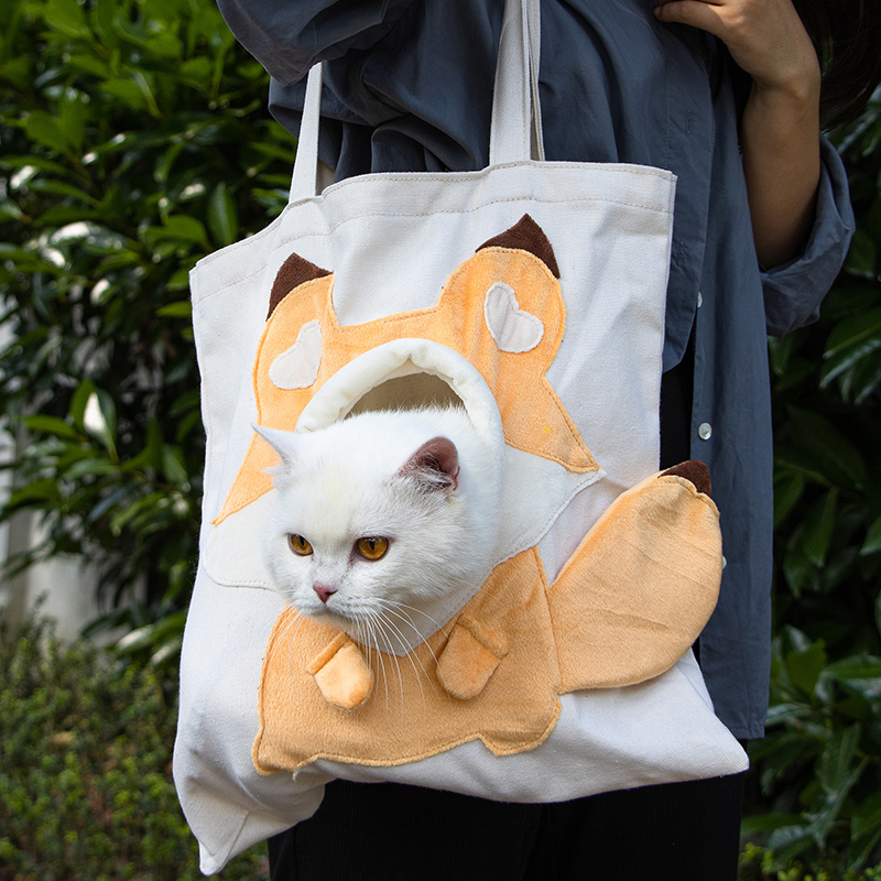 cat carrier
