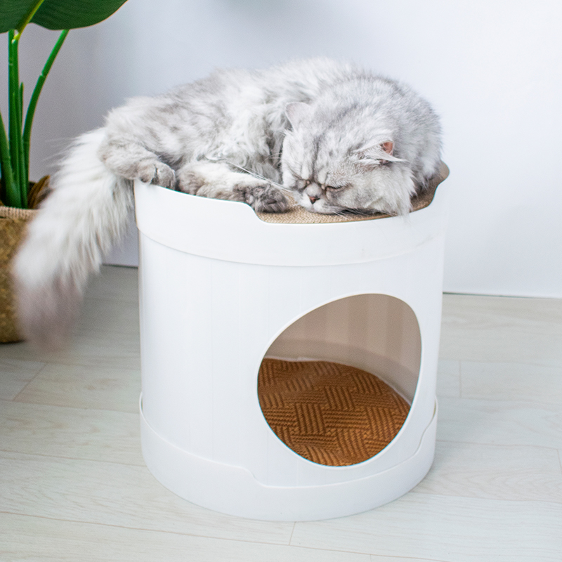 Cat litter