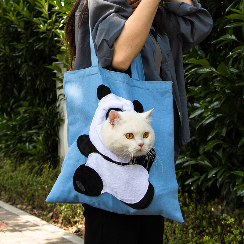 cat carrier