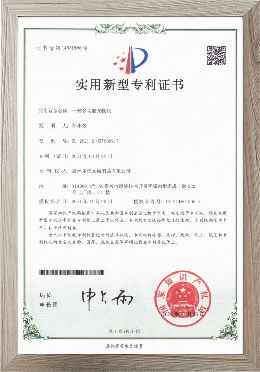 Utility Model Patent Certificate1